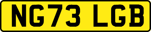 NG73LGB