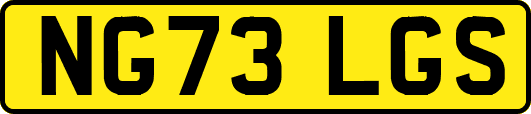 NG73LGS