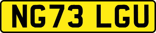 NG73LGU