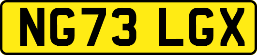 NG73LGX