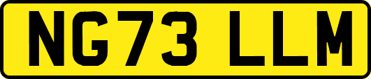 NG73LLM