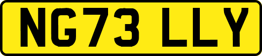 NG73LLY