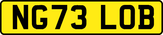 NG73LOB