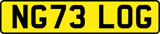NG73LOG