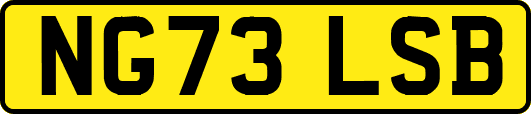 NG73LSB