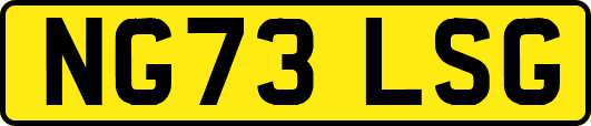 NG73LSG