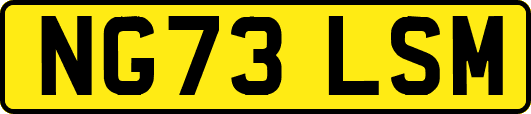 NG73LSM