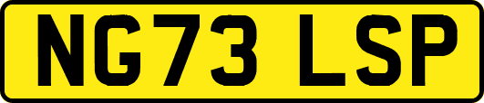 NG73LSP