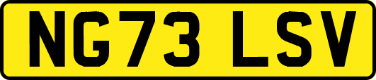 NG73LSV