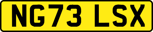 NG73LSX