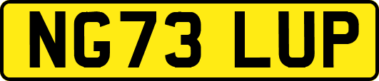 NG73LUP