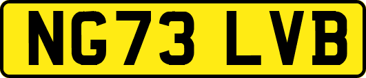 NG73LVB