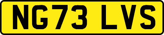 NG73LVS