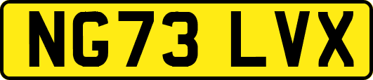 NG73LVX
