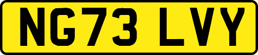 NG73LVY
