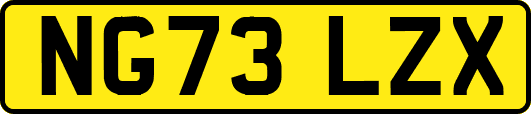 NG73LZX