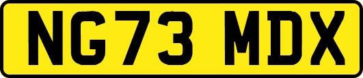NG73MDX