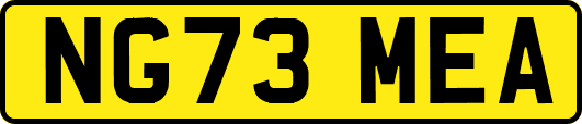NG73MEA
