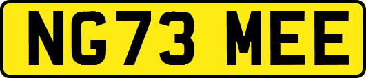NG73MEE