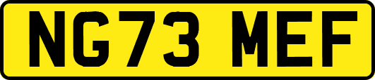 NG73MEF