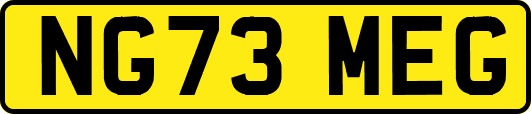 NG73MEG