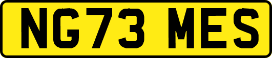 NG73MES