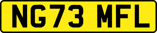 NG73MFL