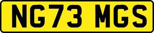 NG73MGS