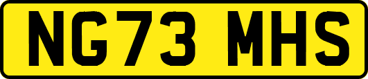 NG73MHS