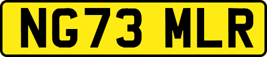 NG73MLR