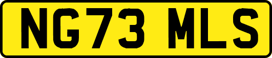 NG73MLS
