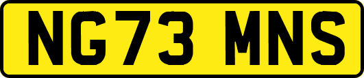 NG73MNS