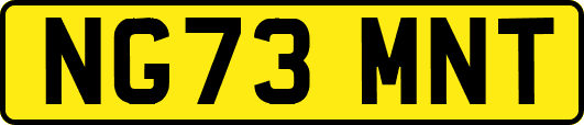 NG73MNT