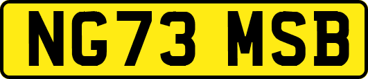 NG73MSB