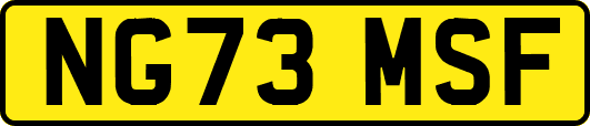 NG73MSF