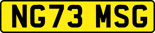 NG73MSG