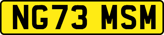 NG73MSM