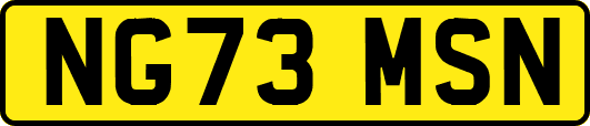 NG73MSN