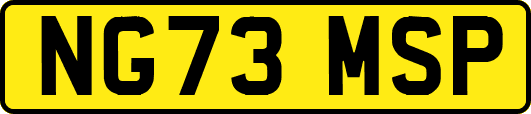 NG73MSP