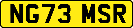 NG73MSR