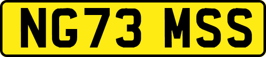 NG73MSS
