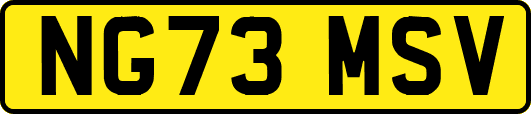 NG73MSV