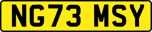 NG73MSY