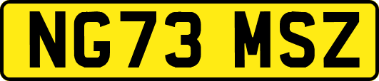 NG73MSZ