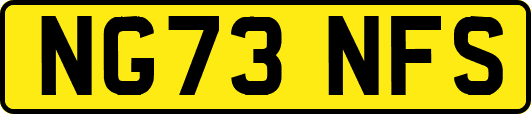 NG73NFS