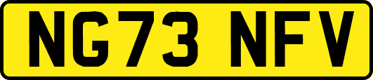 NG73NFV