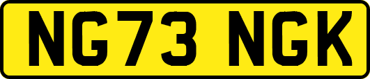 NG73NGK