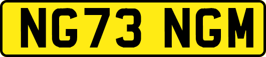 NG73NGM