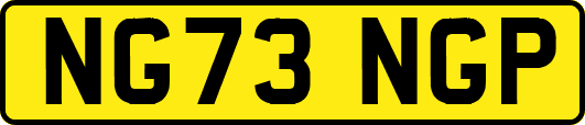 NG73NGP