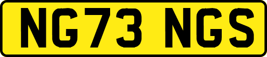 NG73NGS